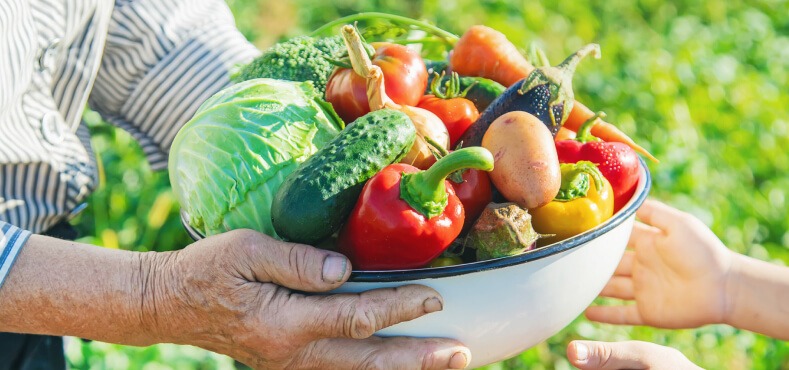 Transform Your Nutrition with Organic Meal