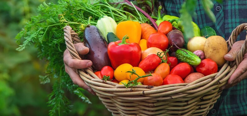 Fresh Organic Food For Better Healthy Life