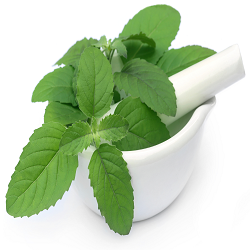 product-gallery (3)