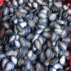 Watermelon Seeds
